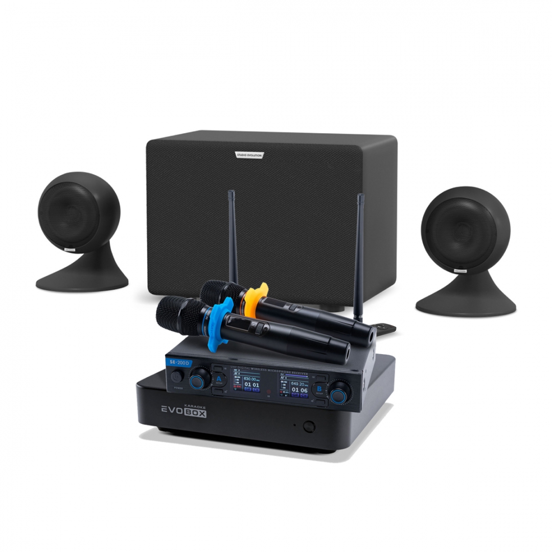 караоке-комплект EVOBOX + EvoSound Sphere 2.1 в Горячем Ключе