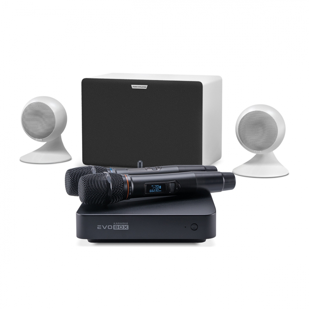караоке-комплект EVOBOX Classic + EvoSound Sphere 2.1 в Горячем Ключе