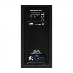 Активная акустическая система AST-310A в Горячем Ключе