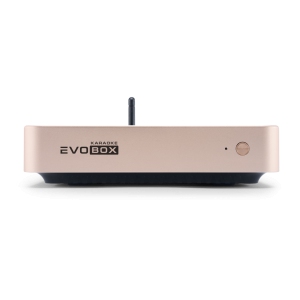 EVOBOX Classic караоке-система для дома в Горячем Ключе
