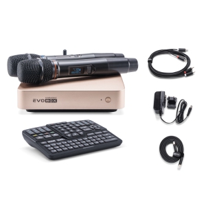EVOBOX Classic караоке-система для дома в Горячем Ключе