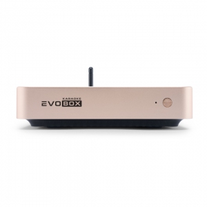 EVOBOX Plus караоке-система для дома в Горячем Ключе