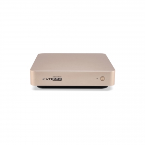 EVOBOX с микрофонами в Горячем Ключе